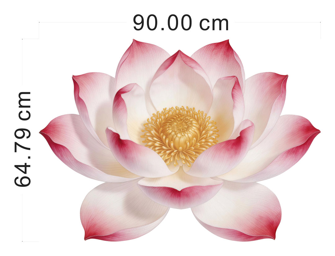莲花.jpg